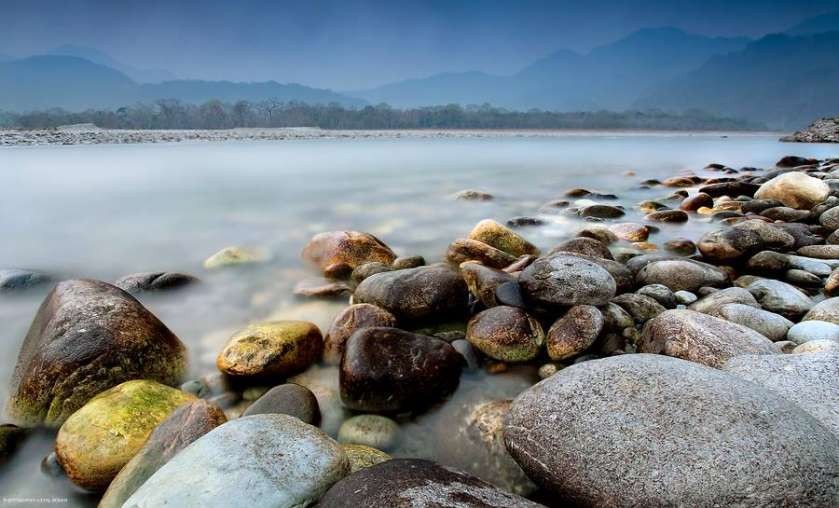 Manas National Park