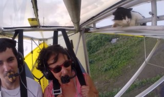 This Little Kitty Got Flying!