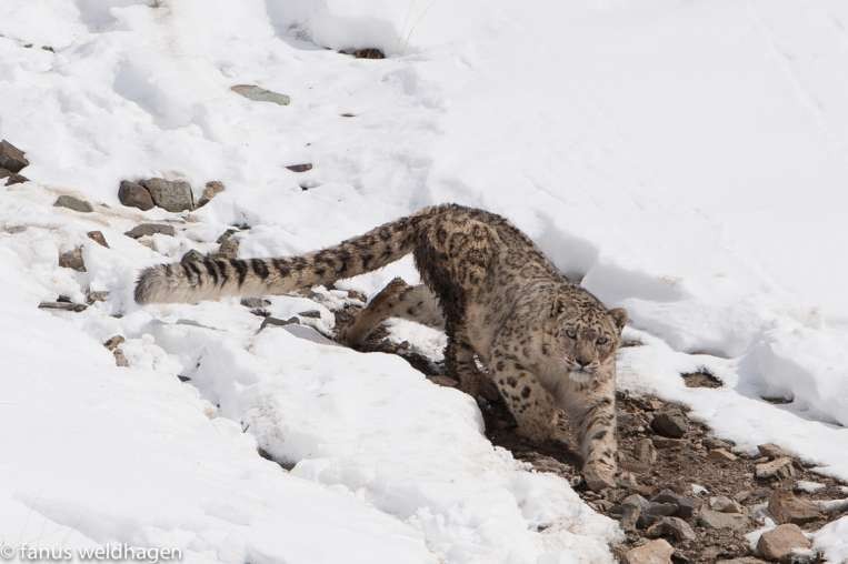 Hemis National Park