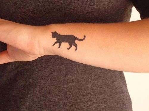 Bold black cat No