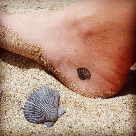 Seashell No